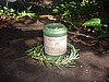 Earth Candle